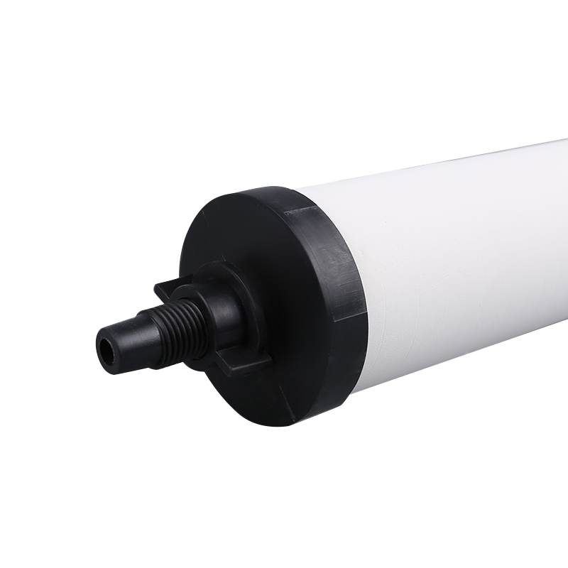 Cartuccia del filtro dell'acqua RH-TC10A1