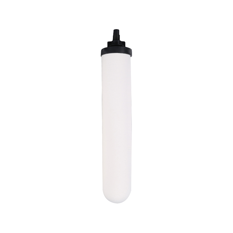 Cartuccia del filtro dell'acqua RH-TC10A1